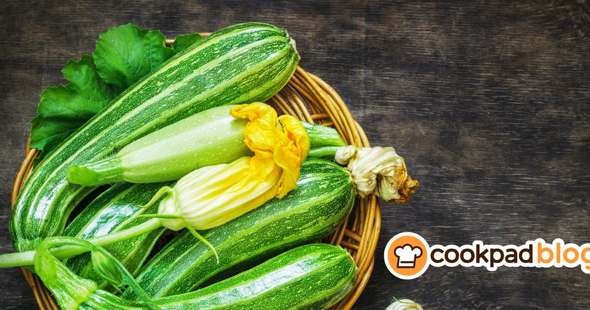 All about Zucchini: make the most of this versatile summer squash 🥒