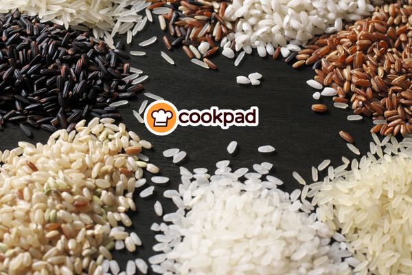 Tipos de Arroz
