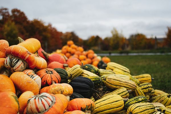📝Menus de septembre : 7 idées gourmandes et de saison pour la rentrée