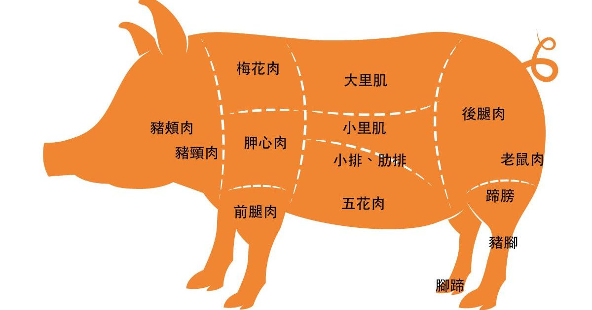 【豬肉部位完全指南】完美掌握適合的料理方式！