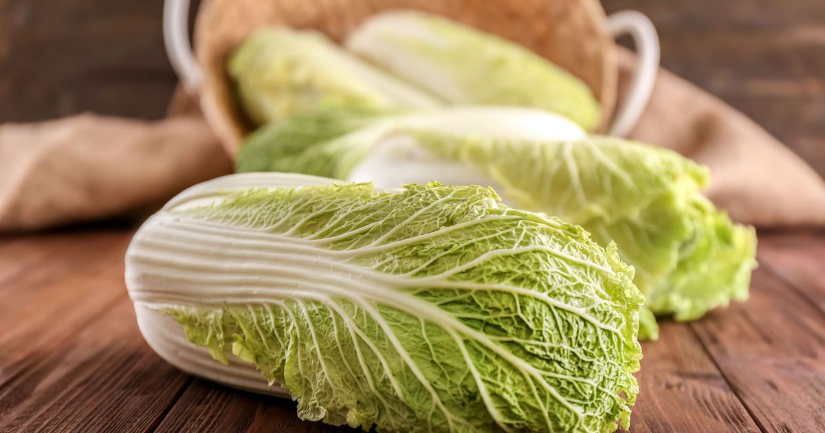 山東、包心白菜差在哪？有黑點怎麼辦？大白菜知識一次懂！