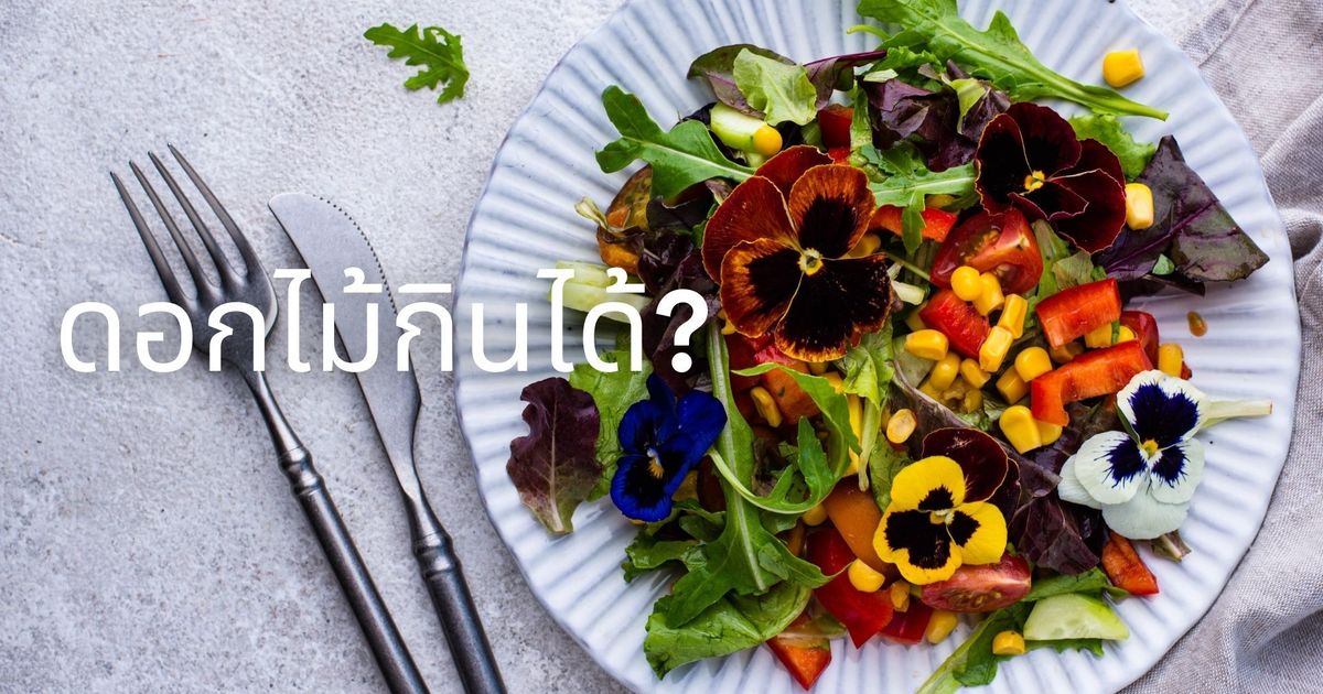 ดอกไม้กินได้ รวมสูตรอาหารจากดอกไม้ ทำง่าย อร่อย และสวยงาม
