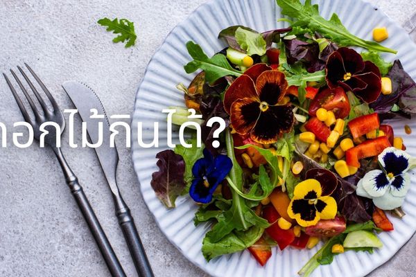 ดอกไม้กินได้ รวมสูตรอาหารจากดอกไม้ ทำง่าย อร่อย และสวยงาม