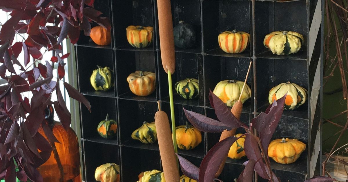 Les fruits et les légumes de septembre