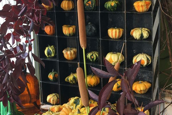Les fruits et les légumes de septembre