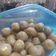 Cooksnap dari aneu ledis untuk resep Baso Aci Anti Gagal
