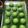 Cooksnap dari Wirda Lubis untuk resep Cake fruit