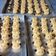 Cooksnap dari Dita untuk resep German Sheep Cookies