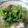Cooksnap dari missjeshe untuk resep Pecel sayur wong ndeso