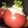 El cooksnap de Laura cuando hizo Tomates rellenos con arroz y atún.