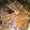 Brian Wilson's cooksnap of when they made Ham and Bean Soup.