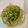 謝凱玟 的 蒜蓉粉絲蒸娃娃菜 cooksnap