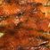 El cooksnap de arodsot cuando hizo Salmón marinado casero.