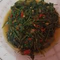 Cooksnap dari Widya Julianti untuk resep Tumis Pakis Terasi Pedas