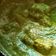 Shilpa Kikani 1's cooksnap of when they made સોયાબીન પનીર વિથ પાલક ગ્રેવી (Soyabean Paneer With Palak Gravy Recipe In Gujarati).