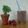 Cooksnap από Al Dente στη συνταγή Σοκολατένιο Milkshake με Κεράσια 🥤🍒