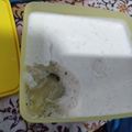 Cooksnap dari Ija_Fiffa_Wida untuk resep Oreo ice cream
