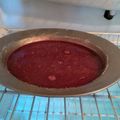 El cooksnap de vanina dayan cuando hizo Gomitas de gelatina sin agregado de azúcar 🍭🍡.