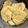 El cooksnap de Nadia Giaccobasso cuando hizo Galletas saladas de orégano y semillas.