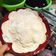 Cooksnap dari Adelisya Gretyladizna untuk resep Kulit Dimsum Anti Sobek