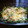 El cooksnap de "cocinar con jorgette" cuando hizo Judías Planas con pollo gratinada.