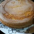 El cooksnap de Ro! cuando hizo Bizcochuelo de Mandarina 🍊 Licuadora o Mixer.
