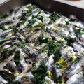 Cooksnap από Λίτσα Λιτσάκι στη συνταγή Σαρδέλες με ντομάτα