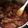 El cooksnap de Iluminada Rodríguez cuando hizo Ternera en salsa con tomate.