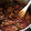 El cooksnap de Iluminada Rodríguez cuando hizo Ternera en salsa con tomate.