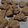 El cooksnap de mariana cuando hizo Galletas de manzana y avena saludables.