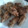 El cooksnap de Elvis cuando hizo Alitas de pollo estilo KFC.