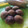 Shanthi's cooksnap of when they made செவ்வாழை பழ கருப்பட்டி குழி பணியாரம்.