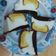 Cooksnap dari Rosalina Suryajaya untuk resep Pudding Madona / Puding cake busa