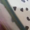 صورة من ft6on، شاركها بعد تجربة وصفة حلى شعيريه باكستانيه