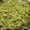 Jalpa Tajapara's cooksnap of when they made પાલક સેવ (Palak Sev Recipe In Gujarati).