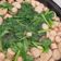 Cooksnap dari Kitchen's untuk resep Sayur Bayam Sosis