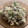 El cooksnap de Eduardo Agudo Alba cuando hizo Ensalada de apio, manzana y nueces.