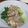 Cooksnap dari Lydia untuk resep Pokcoy siram minyak wijen simple ala resto