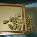 Cooksnap dari sriapsari untuk resep Kue Garpu Gurih Tanpa Telur