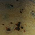 Lívi Cooksnap-ja, amikor elkészítette a(z) Tortilla receptet.