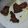 Cooksnap dari Deby Ardiarini untuk resep Empal Daging Sapi Empuk Gurih