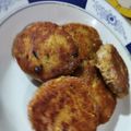 Fary Feroz's cooksnap of when they made Shami Kebab.
