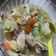 Cooksnap dari Gesang Rosdianti Dian untuk resep Sayur sop bening