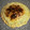 El cooksnap de Celes2239 cuando hizo Tarta de acelga, especial.