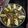 El cooksnap de TONI PALOMARES cuando hizo Potaje de acelgas con judías y bacalao.