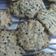 Cooksnap dari Latifah Hanum untuk resep 💢 Crunchy Oat Cookies (Non Keto)💢