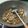 Cooksnap dari Kiafidzsha untuk resep Ayam Jamur Kancing Teriyaki