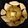 Manisha Shete - Vispute's cooksnap of when they made पनीर बिर्याणी (Paneer biryani recipe in marathi).