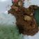 Cooksnap dari Yani Belamore untuk resep Sate Ayam Madura Bumbu kacang Mom Vee