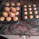 El cooksnap de Miguel Angel Cañadillas Delgado cuando hizo Magdalenas caseras.